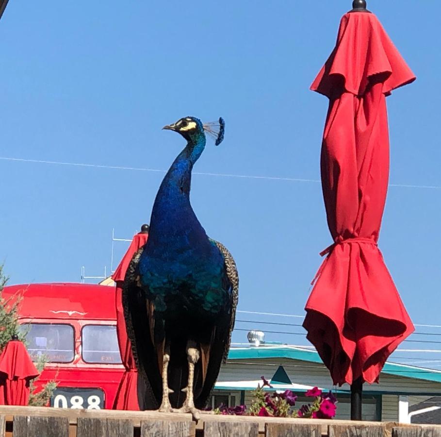 Piccadilly Motel Рейдиъм Хот Спрингс Екстериор снимка